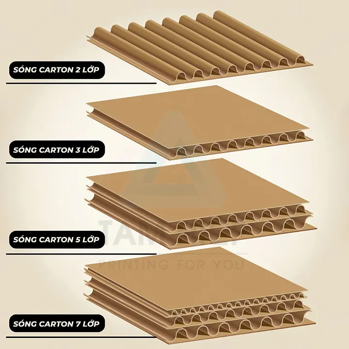 cấu tạo lớp sóng khi chọn in hộp carton 